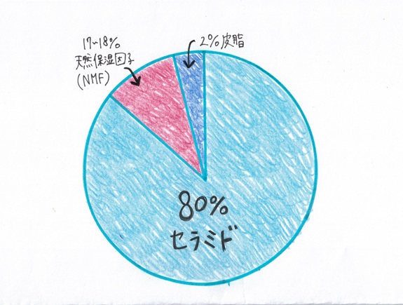 不安になって鏡で自分の顔を覗き込むと、鼻の両サイドに刻まれたラインが!