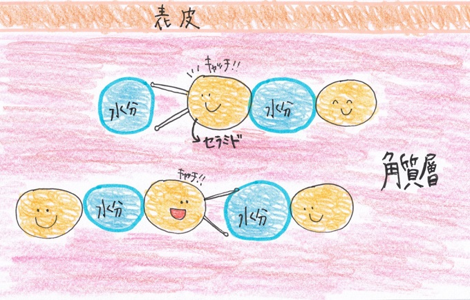 不安になって鏡で自分の顔を覗き込むと、鼻の両サイドに刻まれたラインが!