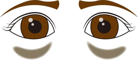 クマには3種類ある!あなたはどのクマ?