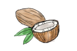 ココナッツオイル