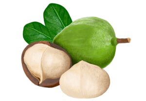 マカダミアナッツオイル