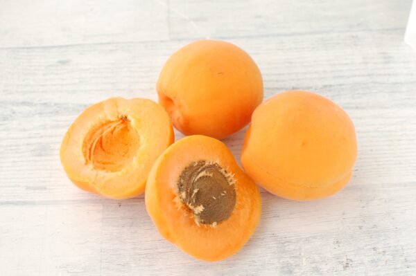 アプリコットカーネルオイルとは