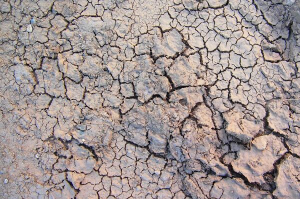 肌の水分量を減らすのは、バリア機能の低下