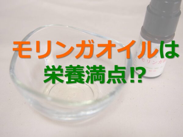 モリンガオイルの成分