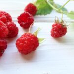 ラズベリーシードオイルの効果とは？日焼け止めの代わりになるという噂はホントなのか？