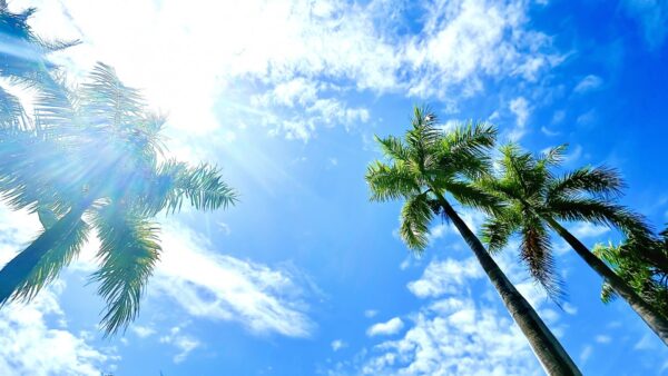 ラズベリーシードオイルは日焼け止めの代わりにならない!