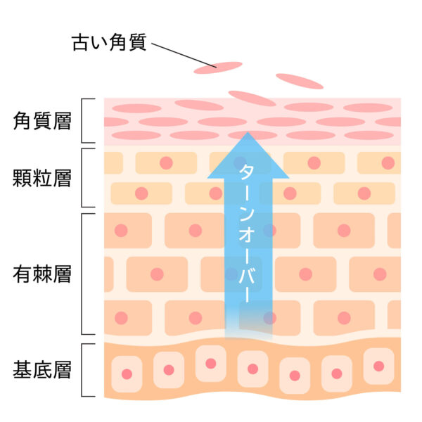 古い角質や皮脂が原因の「顔垢」