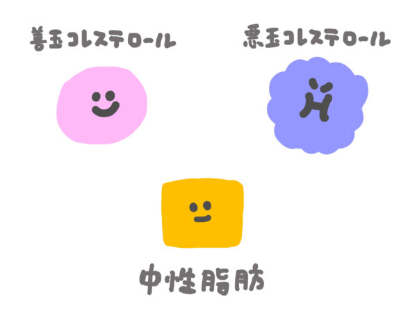 【生活習慣病予防】血糖値・コレステロール値の改善をサポート