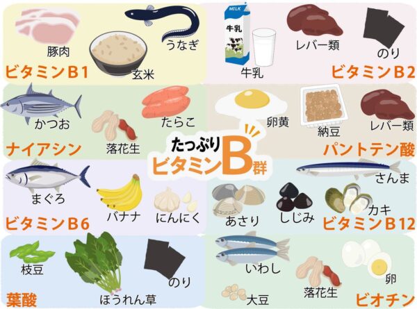 唇の健康をサポートする栄養素「ビタミンB群」