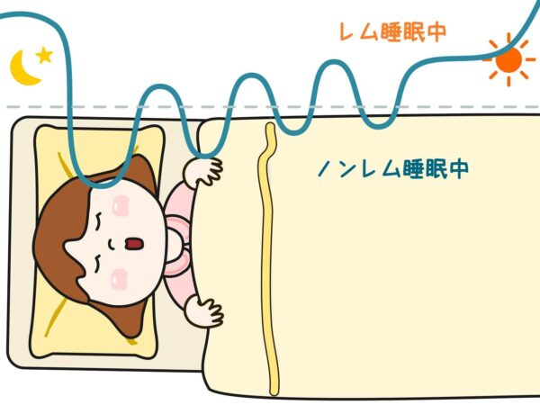 加齢にともなう睡眠構造の変化