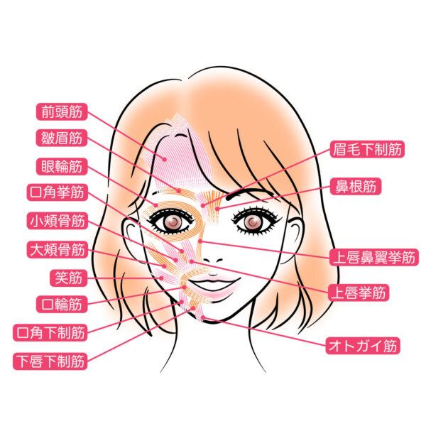 無意識の癖?「表情筋の衰え」と口角下制筋の過緊張