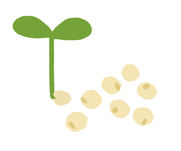 【最重要成分】エクオール|女性ホルモン様作用で多岐にわたる症状を緩和