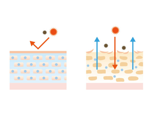 乾燥による「バリア機能の低下」でダメージ増